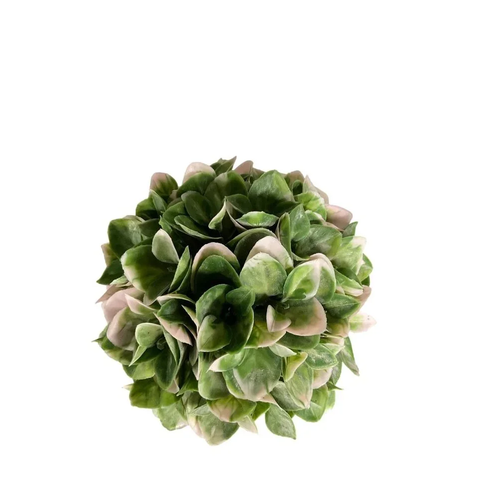 6.5 In. Artificial Potted Succulents In Terracotta-Like Pots With Green & Pink F